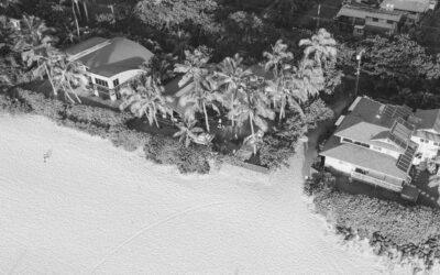 The Ultimate Guide to Landscaping for Beachfront Properties in Hawaii